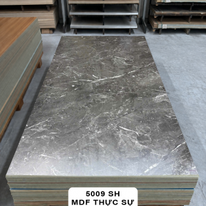 Ván MDF 5009